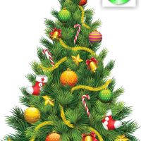 OZNAM  Vianočné stromčeky bude možné odniesť na Zberné miesto  1